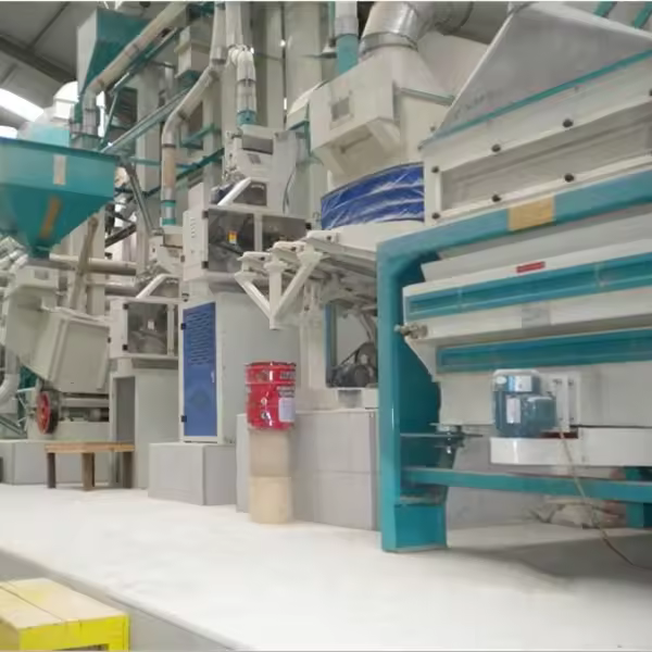 double body paddy separator machine