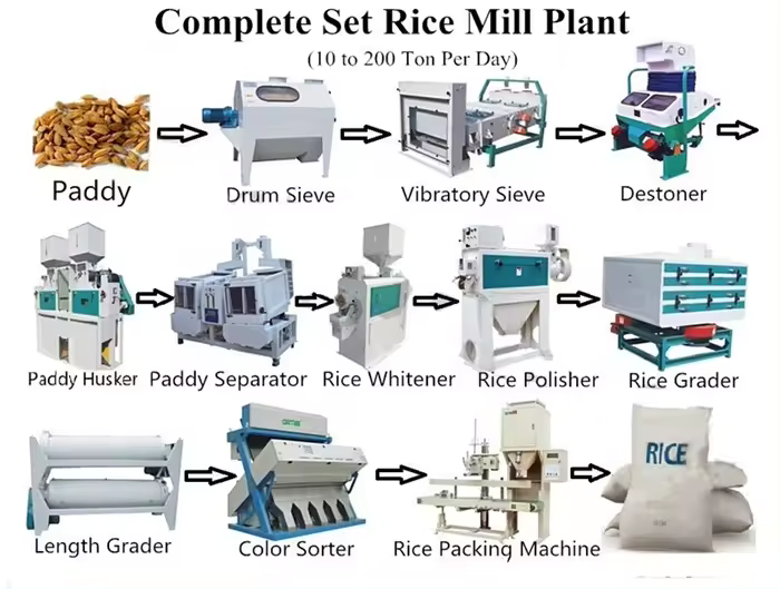 MMJP rice grading machine