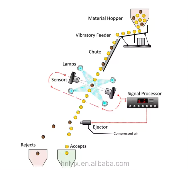 New intelligent color sorter machine