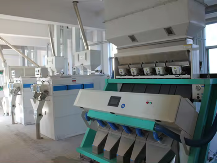 Optical color sorter machine