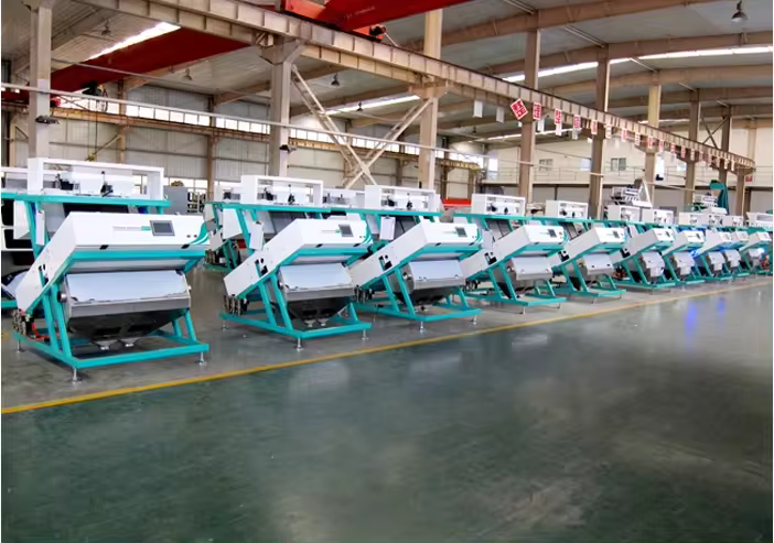 Rice color sorter machine