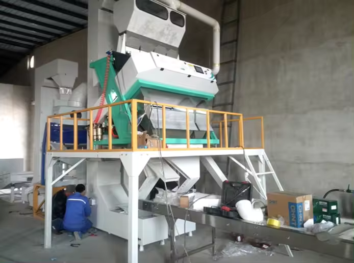 grain color sorter machine