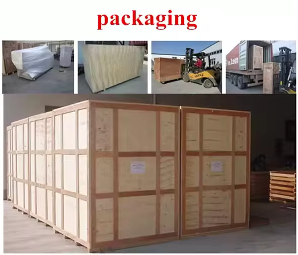 DCS Series packing machine