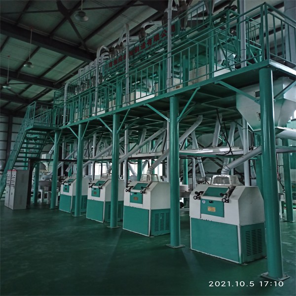 1T/H wheat flour mill machines