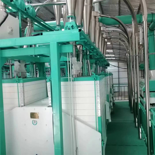 most popular wheat flour milling plant