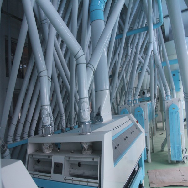 300 ton per day wheat milling and processing plant for durum wheat