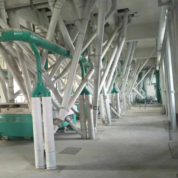 wheat milling and processing plant from China