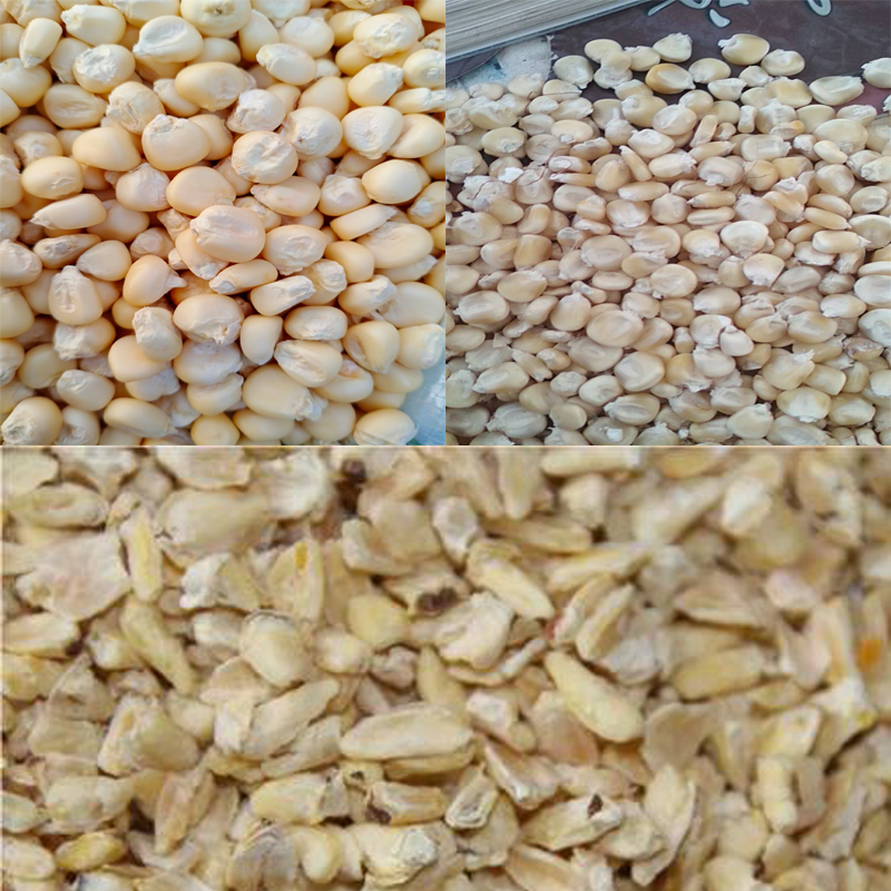 Uganda maize flour mill
