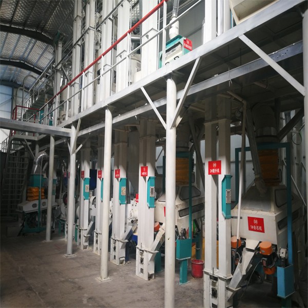 corn processing machine with stainless steel pipes