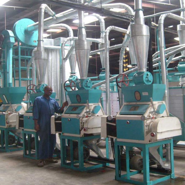 low cost maize processing equipment for farms