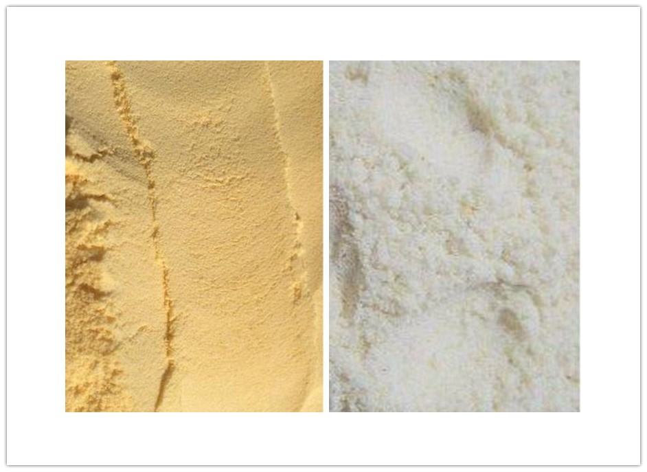 300 ton per day corn flour processing plant