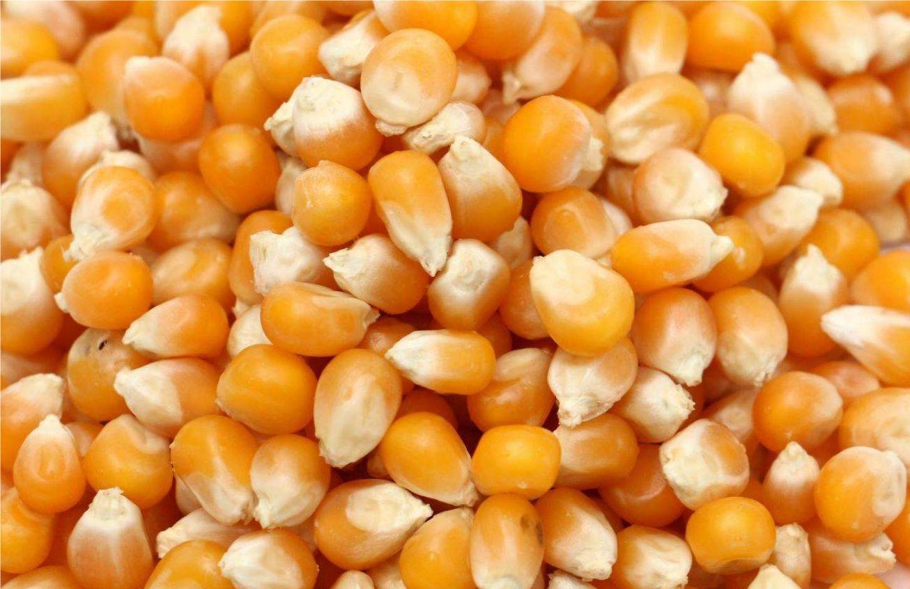 corn flour production line for multiple use