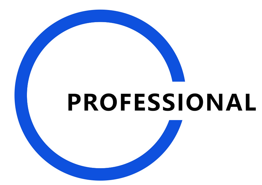 PROFESSIONAL EXPERIENCE