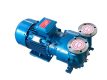 2BV Series Liquid Ring Vacuum Pump