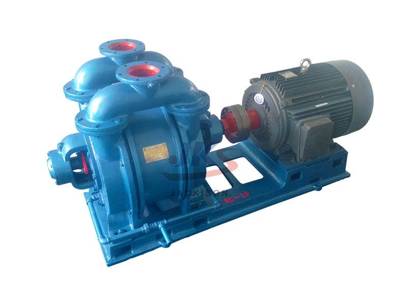 Liquid ring pump for petrochemical industry