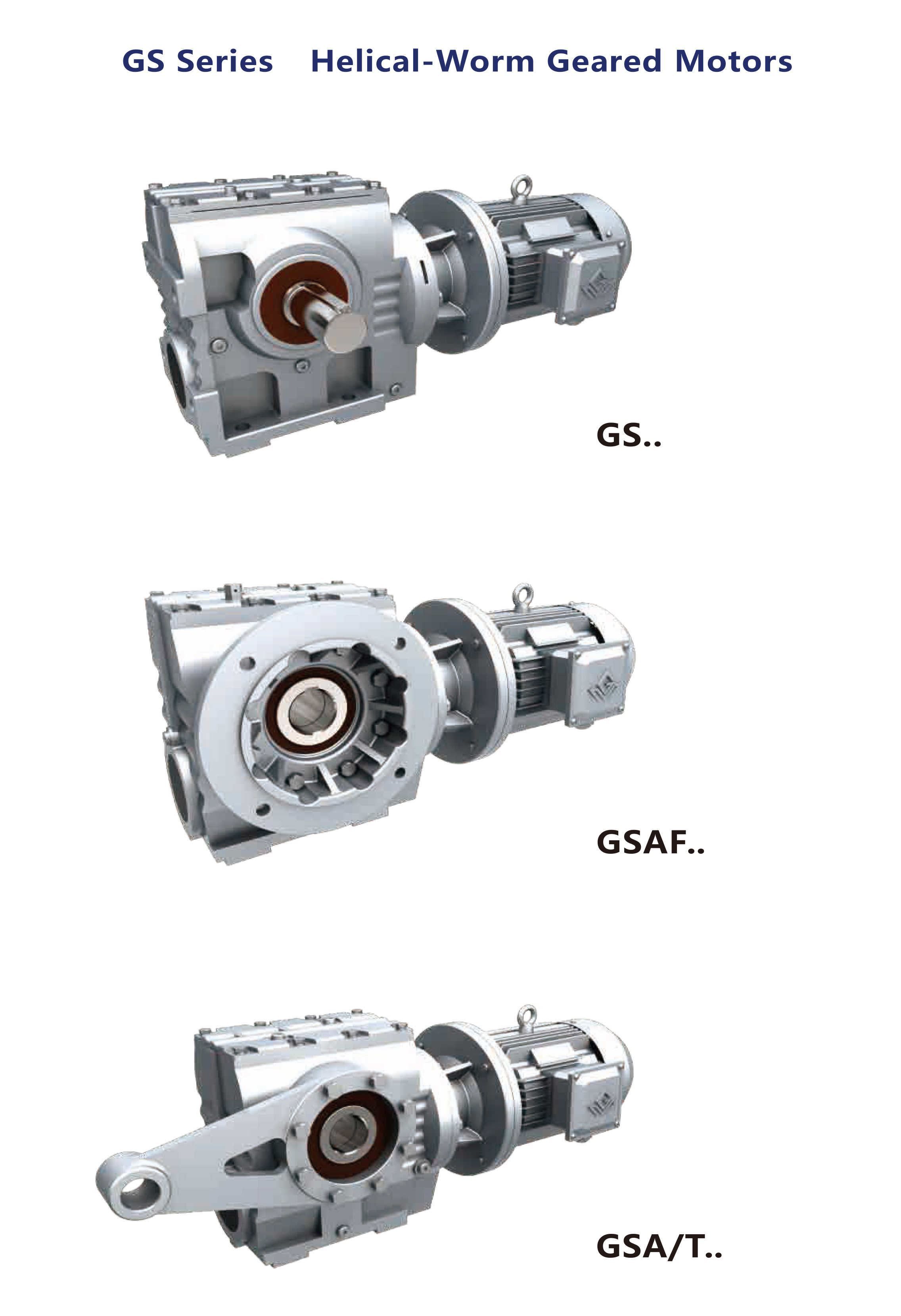 Gear Reduction Electric Motor