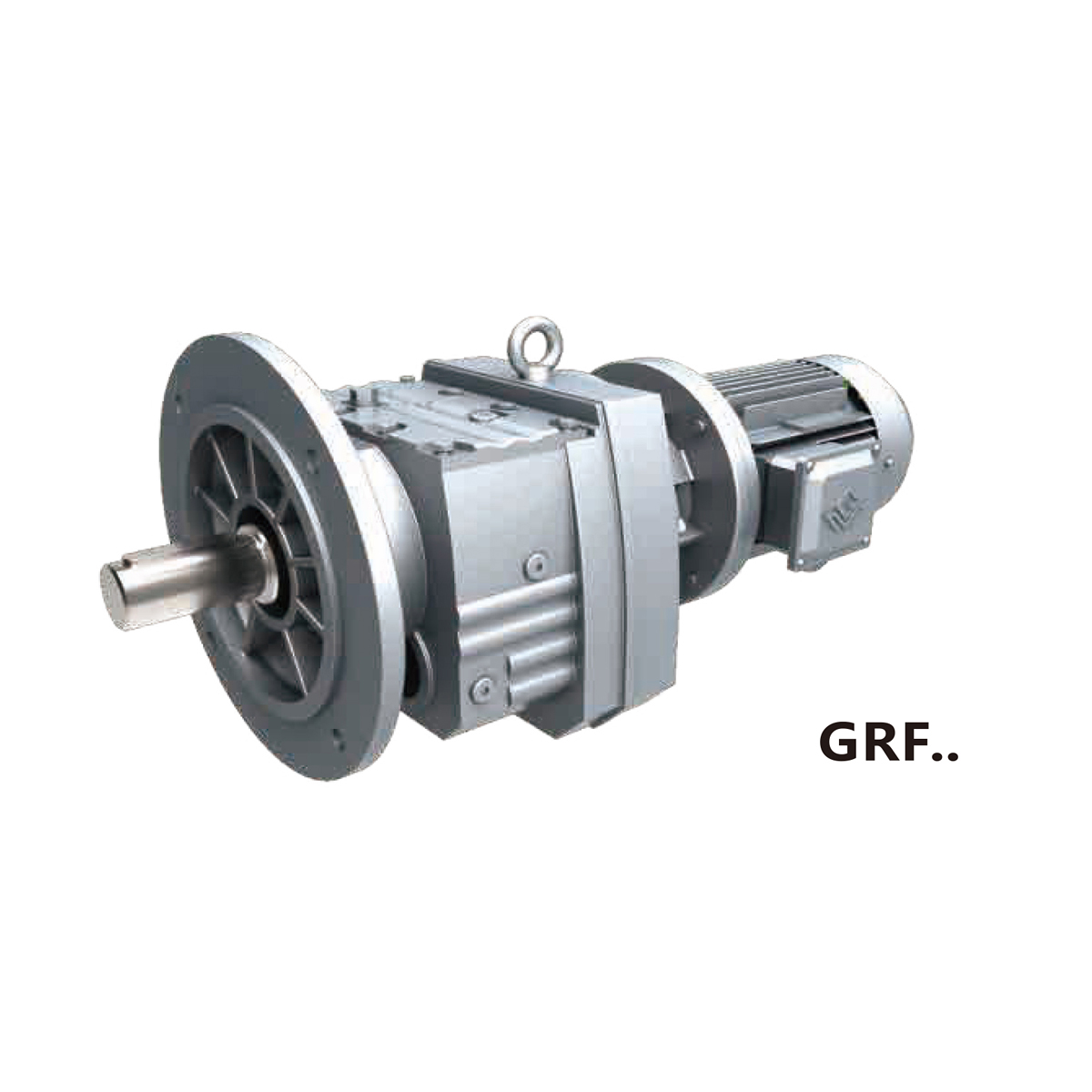 Gear Reduction Electric Motor