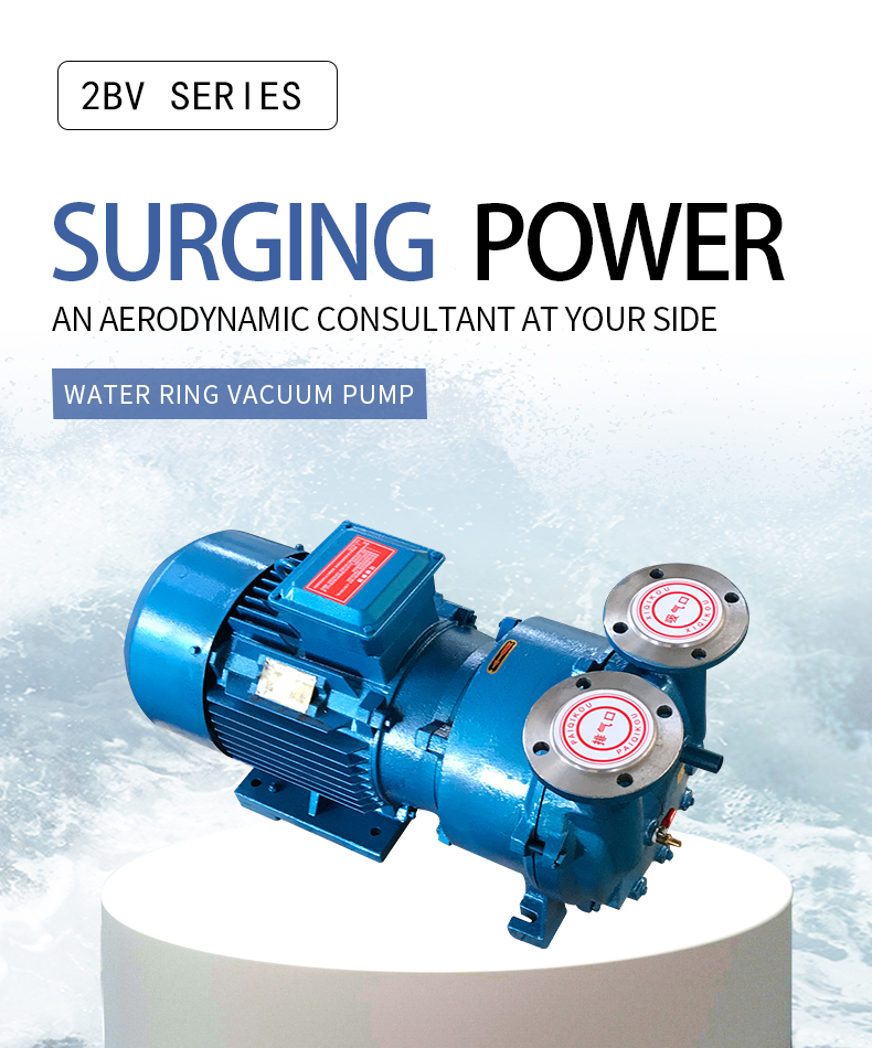 Water Ring Vacuum Pump