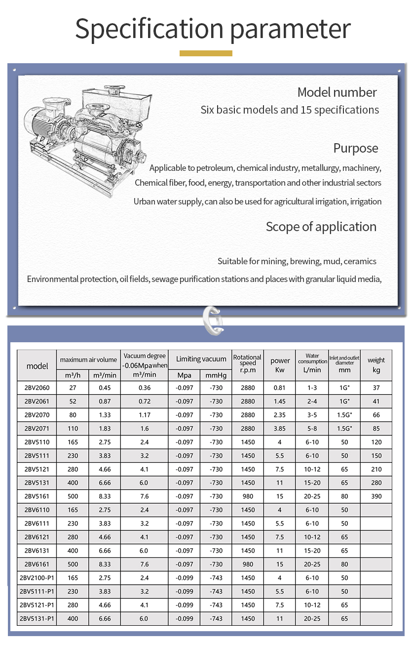 Water Ring Vacuum Pump