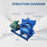 Pompe à vide à anneau liquide série 2BE