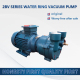 2BV Series Liquid Ring Vacuum Pump