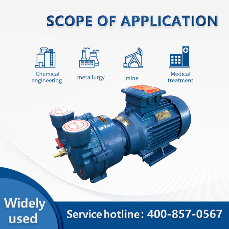 Pompe à vide à anneau liquide série 2BV