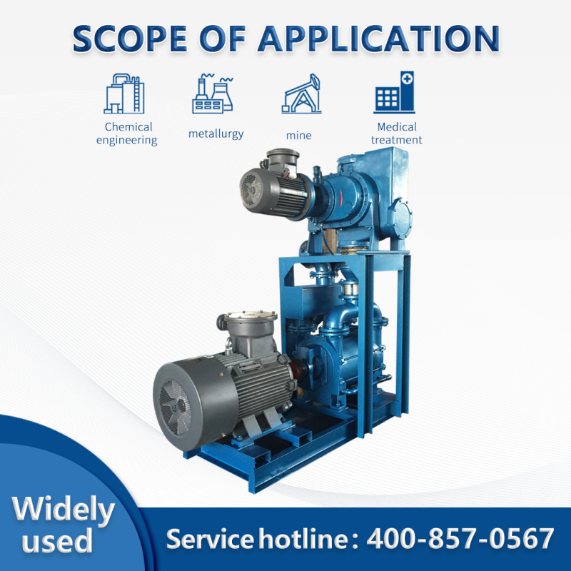 Système de pompe à anneau liquide Roots JZJ2B