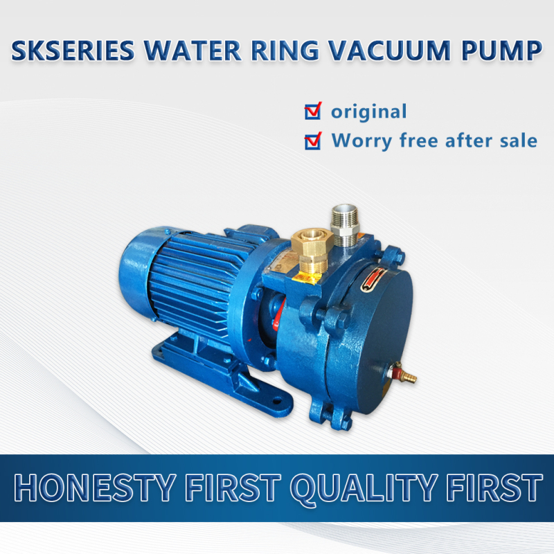 Pompe à vide à anneau liquide mono-étagée SK