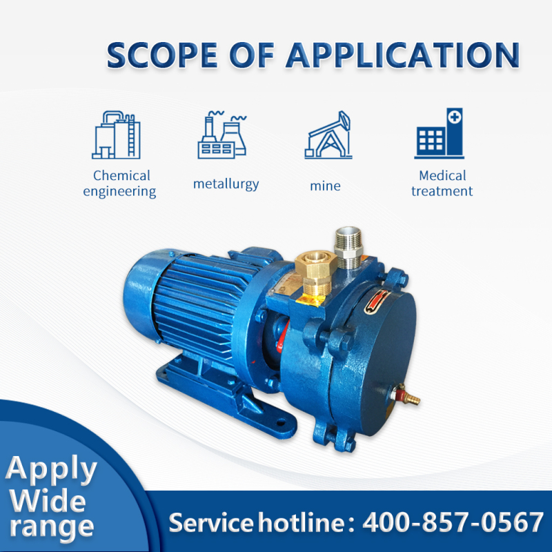 Pompe à vide à anneau liquide mono-étagée SK