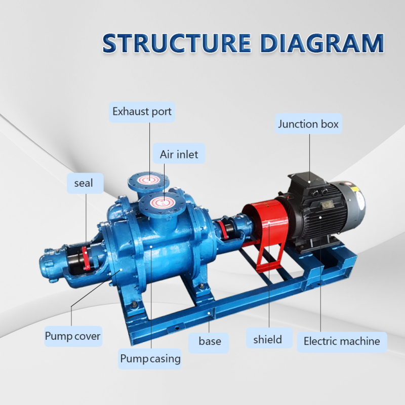 Pompe à vide à anneau d'eau industrielle série SZ