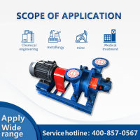 Pompe à vide à anneau d'eau industrielle série SZ