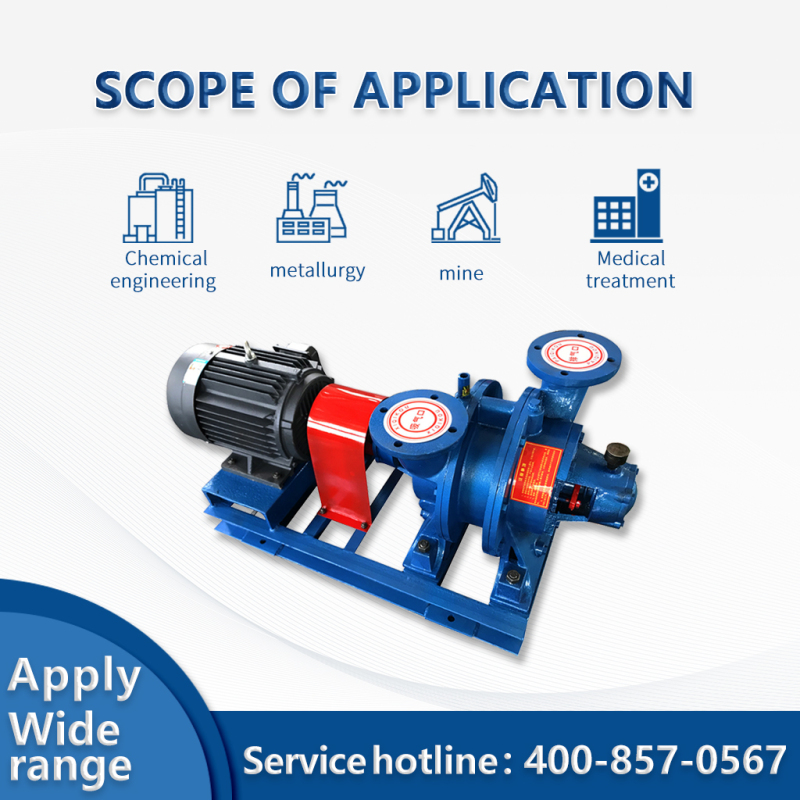 Pompe à vide à anneau d'eau industrielle série SZ