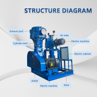 Pompe à vide alternative sans huile Roots Pump série JZJW