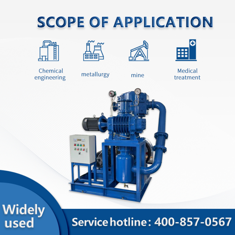 Pompe à vide alternative sans huile Roots Pump série JZJW