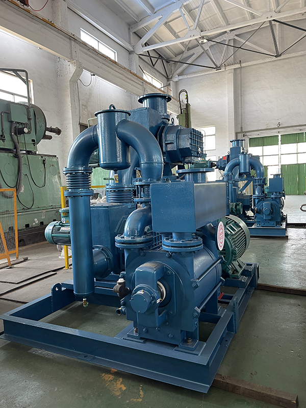 Water supply pump