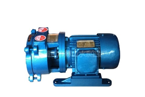 Quelle est la pression d'échappement d'une pompe à vide à anneau d'eau