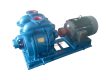 SK series water ring vacuum pump and compressor