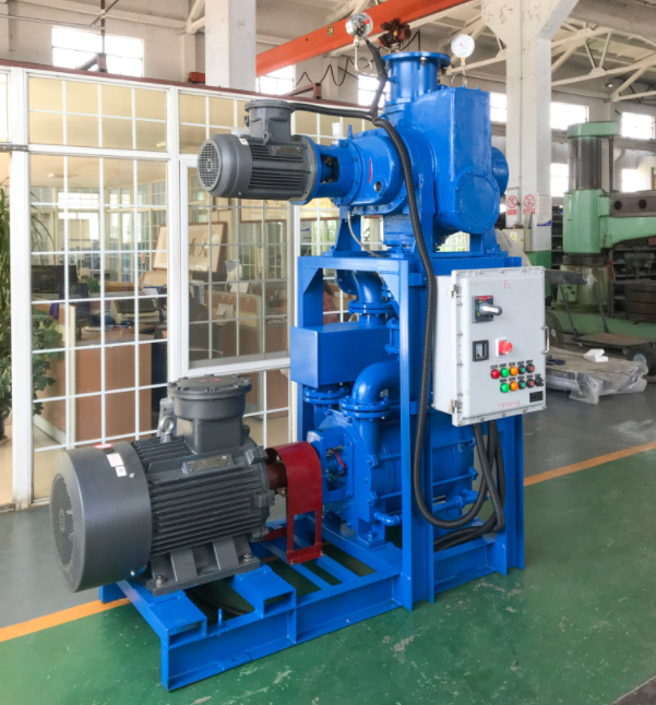 Water ring vacuum pump