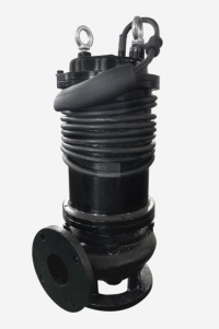 Pompe submersible pour eaux usées de la série QW