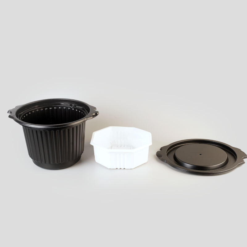 Disposable Plastic Blister Package Food Container Box