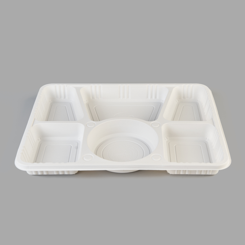 Disposable Bio-degradable Plastic Food Container Box