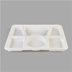 Disposable Bio-degradable Plastic Food Container Box