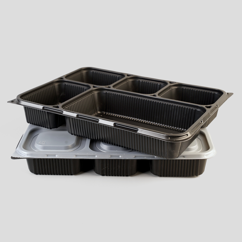 Different Compartments Disposable Plastic Food Tray