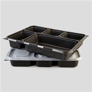 Plateau alimentaire en plastique jetable à différents compartiments