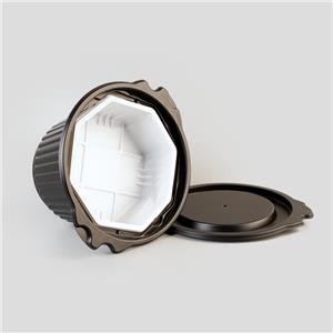 Wegwerpbare plastic zelfverwarmende lunchvoedselcontainers