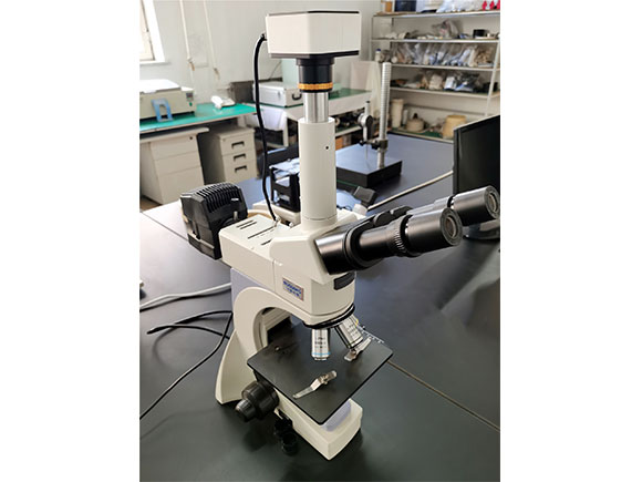 Optical Microscope