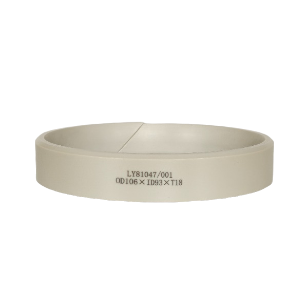 PEEK Check Ring