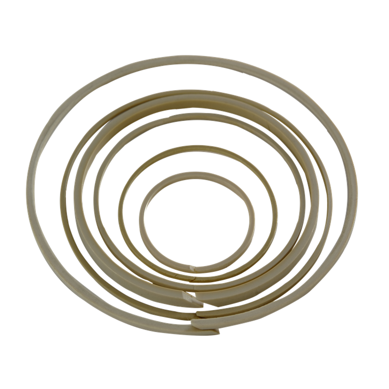 PEEK detent ring
