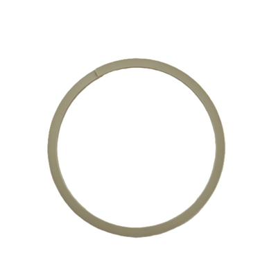 PEEK sealing ring