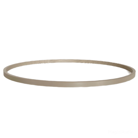 PEEK sealing ring